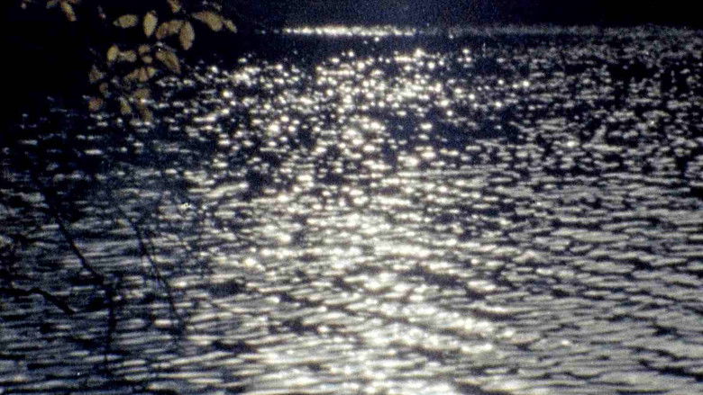 кадр из фильма El jardín del lago