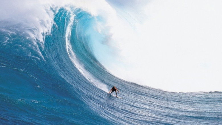 кадр из фильма Billabong Odyssey