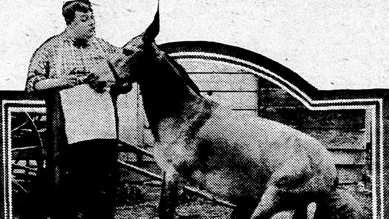 Его брачная ночь