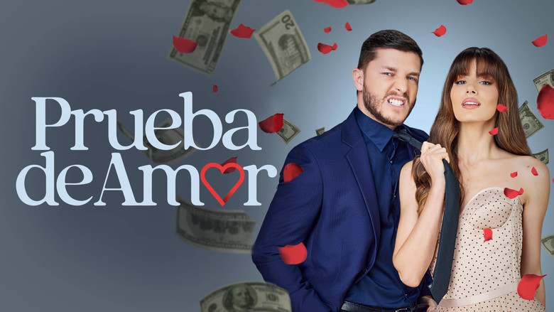 кадр из фильма Procura-se