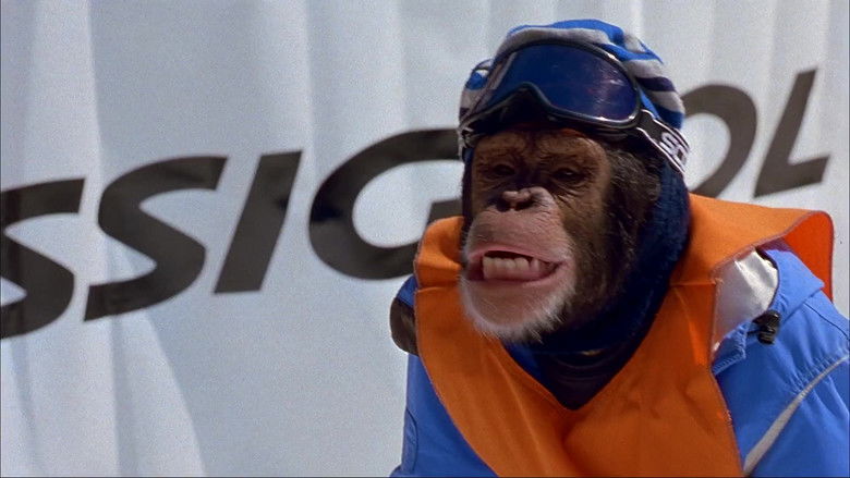 кадр из фильма MXP: Most Xtreme Primate