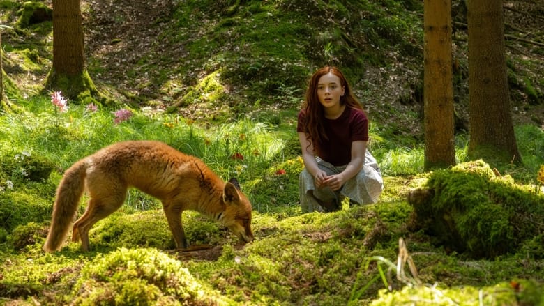 кадр из фильма Магия четырёх стихий