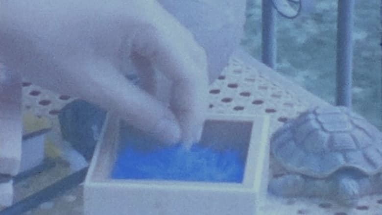 кадр из фильма Bicho Azul