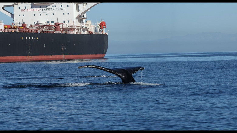 кадр из фильма Collision