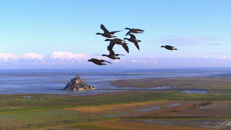 кадр из фильма Wings 3D