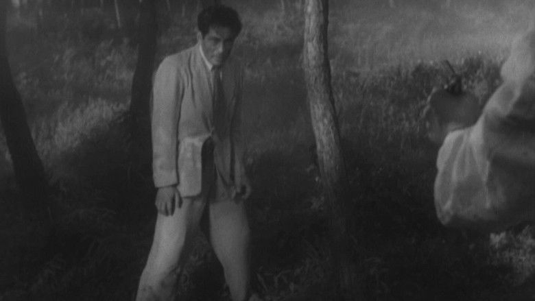 кадр из фильма Бездомный пес