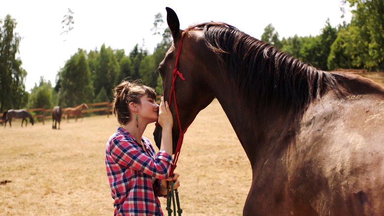 кадр из фильма Orangentage