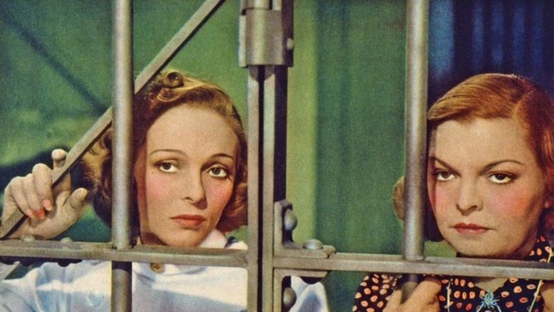 кадр из фильма Numbered Woman