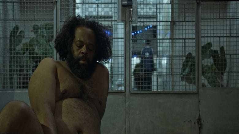 кадр из фильма À noite todos os gatos são pardos