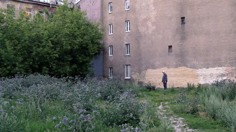Там, где в августе цветет репейник