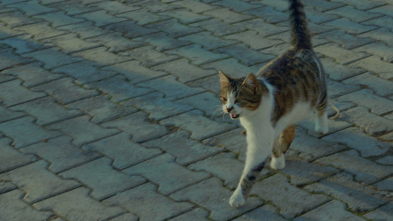 кадр из фильма Boredom