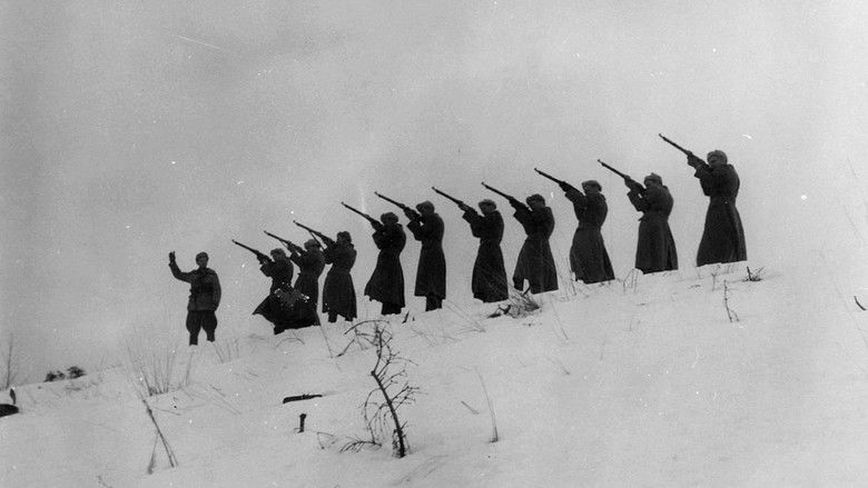 кадр из фильма Неизвестный солдат