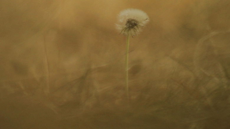 кадр из фильма Pradera