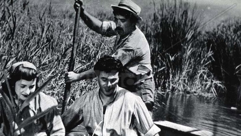 кадр из фильма Il nido di falasco
