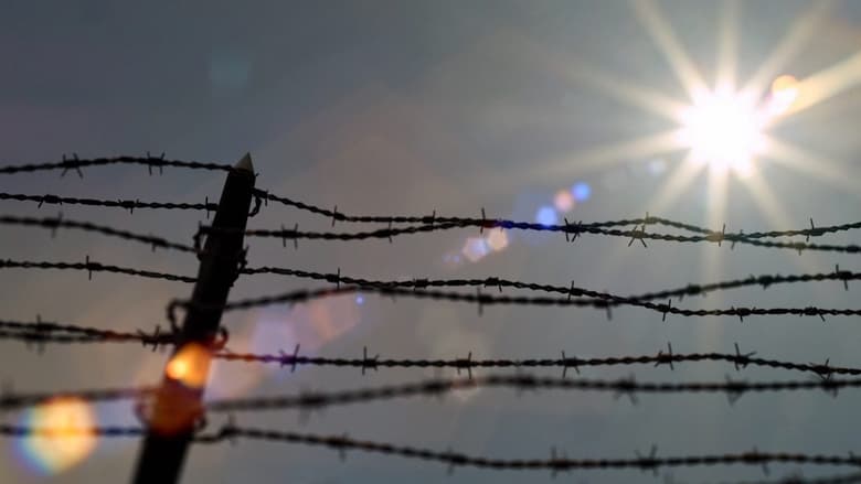 кадр из фильма Στο Σύρμα