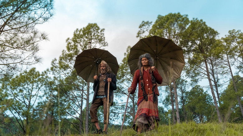 кадр из фильма Pyre