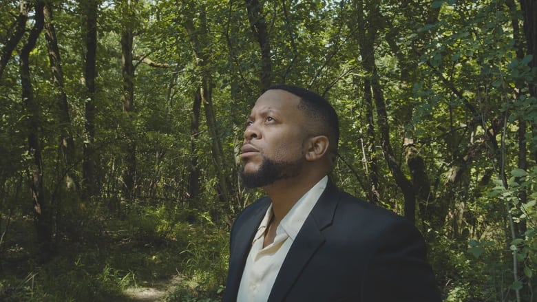 кадр из фильма Butterflies