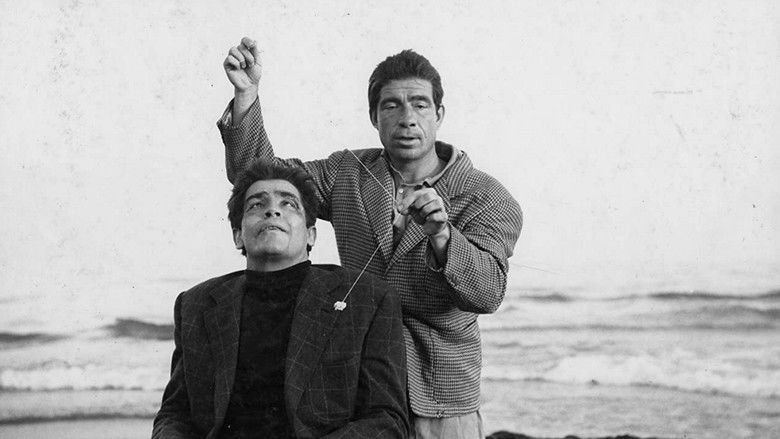 кадр из фильма Чудовища