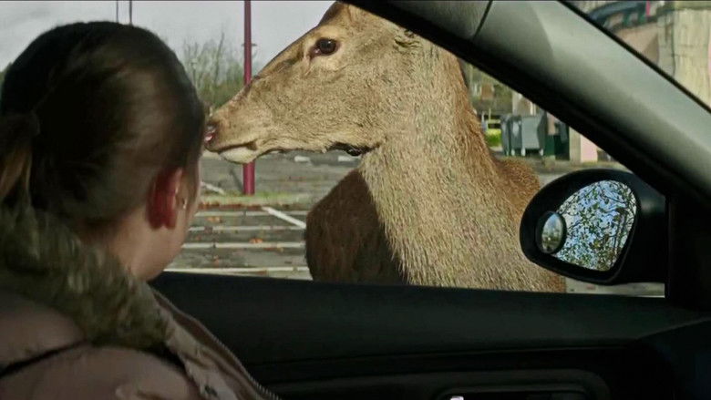 кадр из фильма In the Dark Half