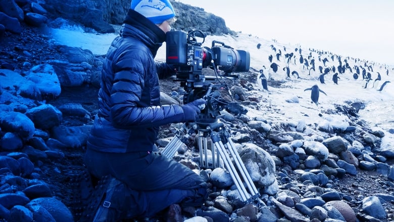 кадр из фильма Penguins: Life on the Edge