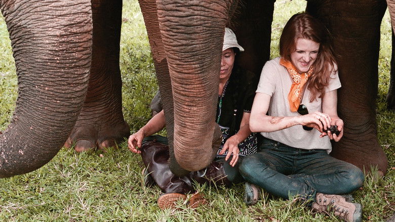 кадр из фильма Love & Bananas: An Elephant Story