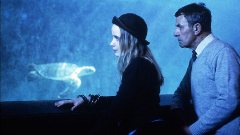 кадр из фильма Im Jahr der Schildkröte