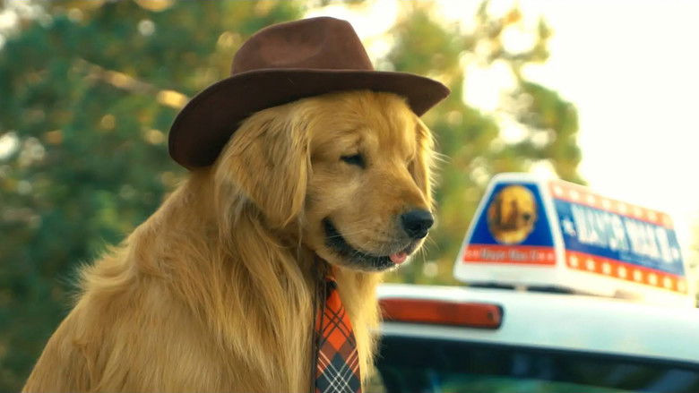 кадр из фильма The Mayor