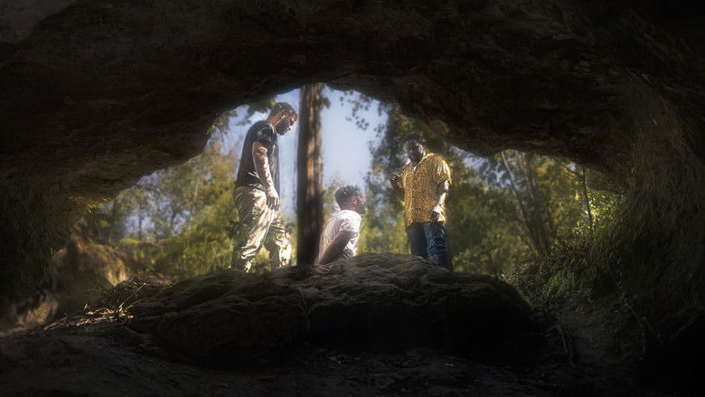 кадр из фильма Against the Spread