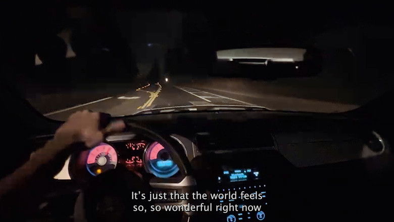 кадр из фильма wunsch drei(3)