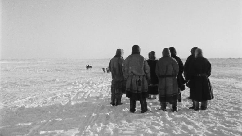 кадр из фильма Seitsemän laulua tundralta