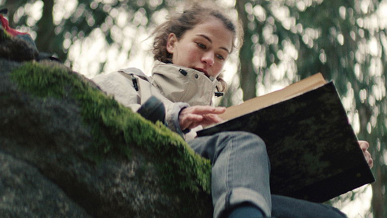 кадр из фильма Тихий лес