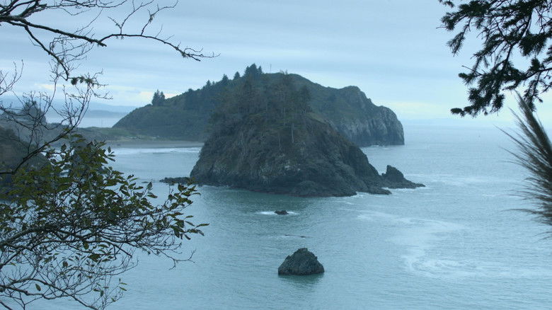 кадр из фильма Unhuman Nature