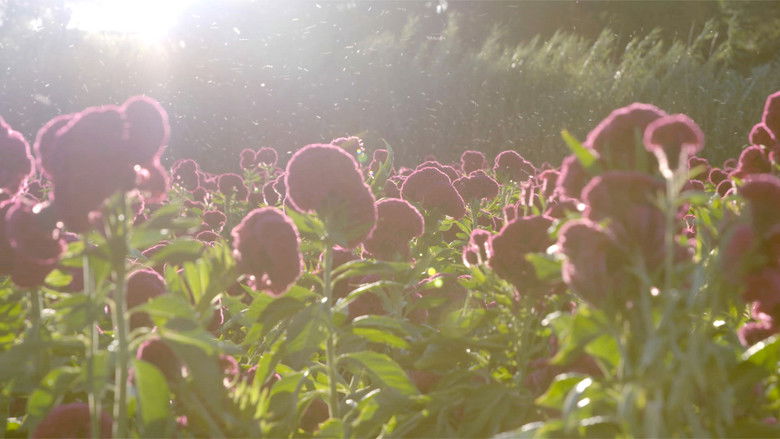 кадр из фильма Cuando cierro los ojos