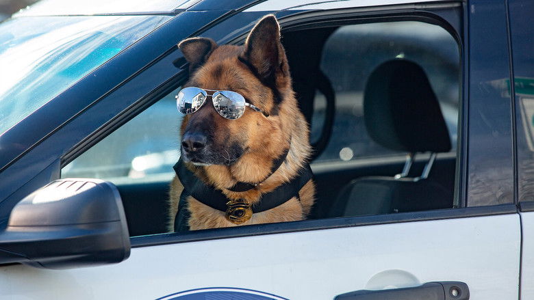 кадр из фильма Кошки против собак 3: Лапы, объединяйтесь