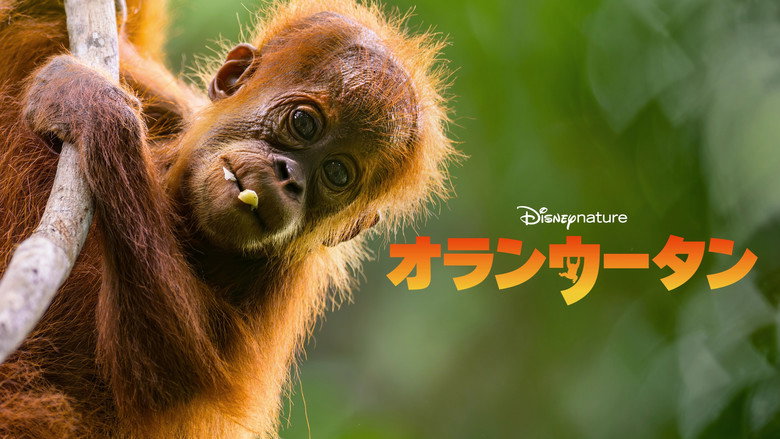 кадр из фильма Orangutan