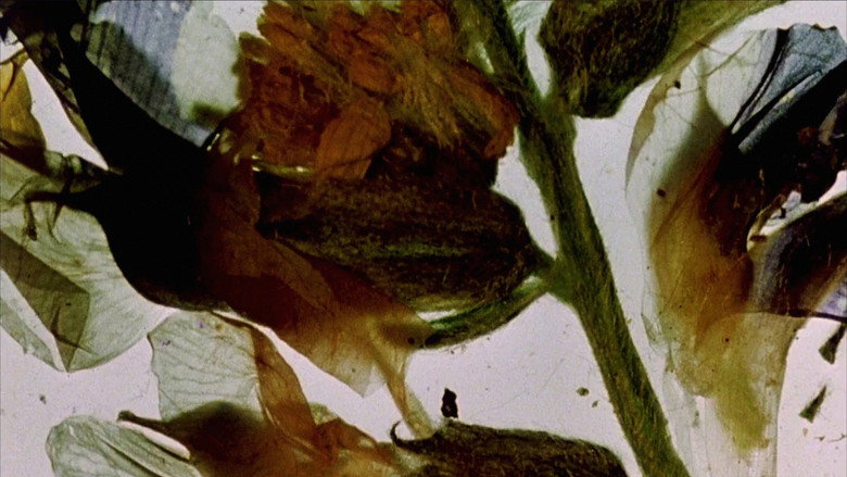 The Garden of Earthly Delights