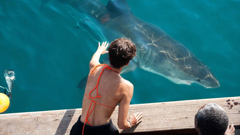 кадр из фильма Заклинательница акул