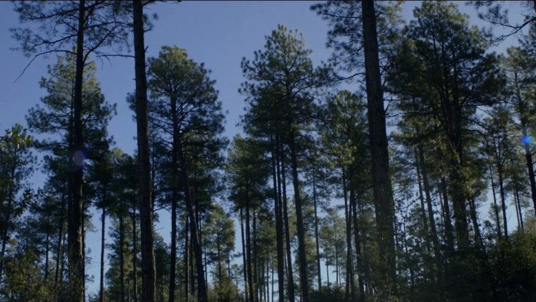 кадр из фильма The Sleeping Village