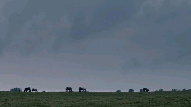 кадр из фильма Великан-эгоист