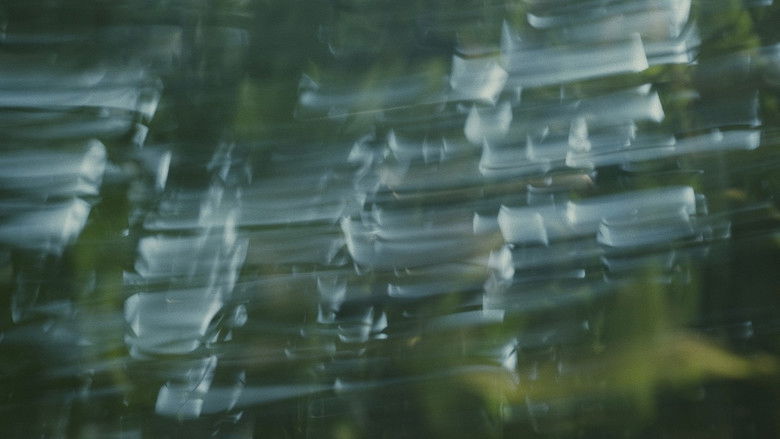 кадр из фильма Para atrapar el viento