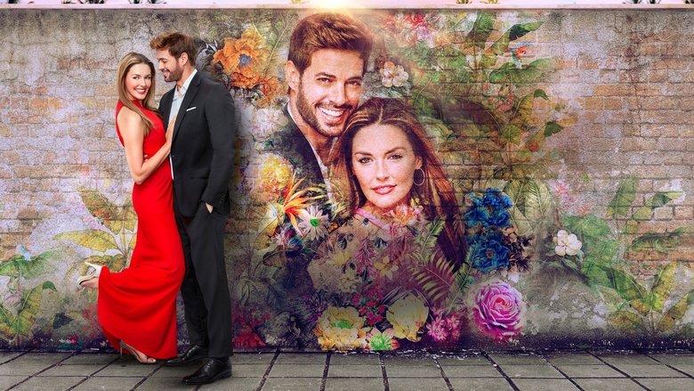 кадр из фильма South Beach Love