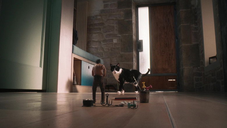 кадр из фильма Дорогая, я уменьшаюсь