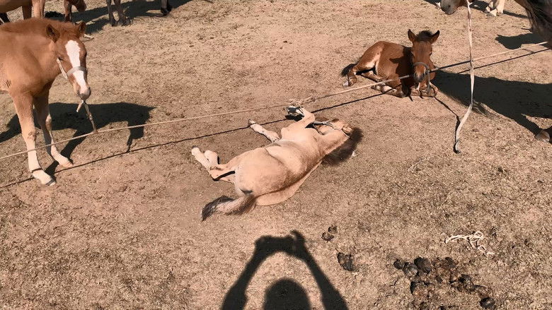 кадр из фильма 劃線