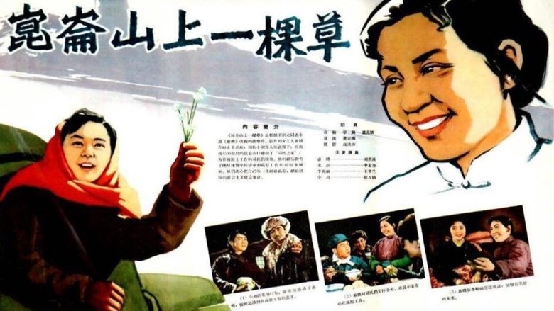 кадр из фильма 昆仑山上一棵草