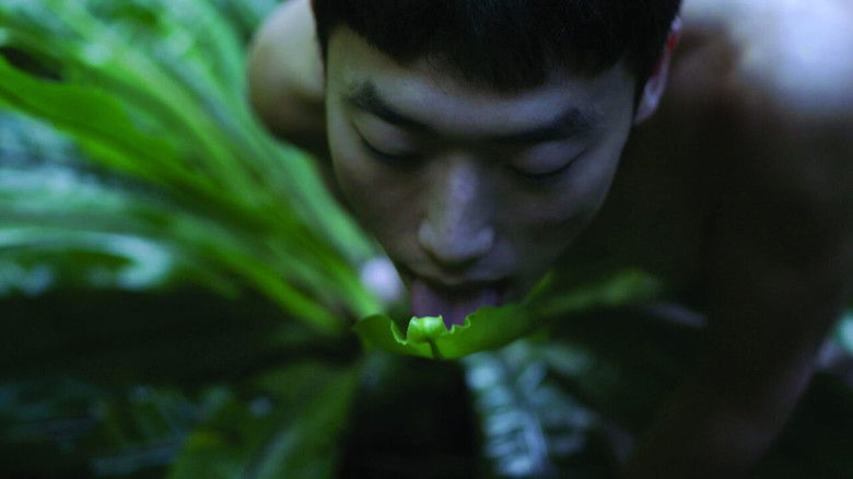 кадр из фильма Pteridophilia