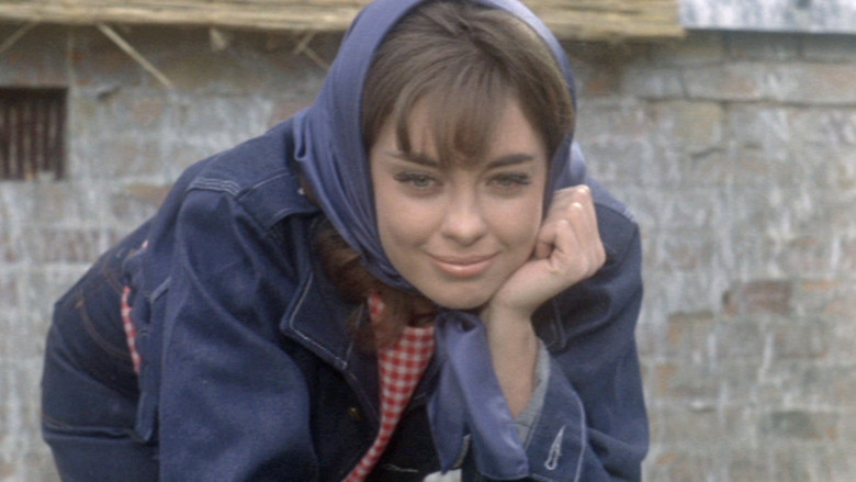 кадр из фильма Slottet