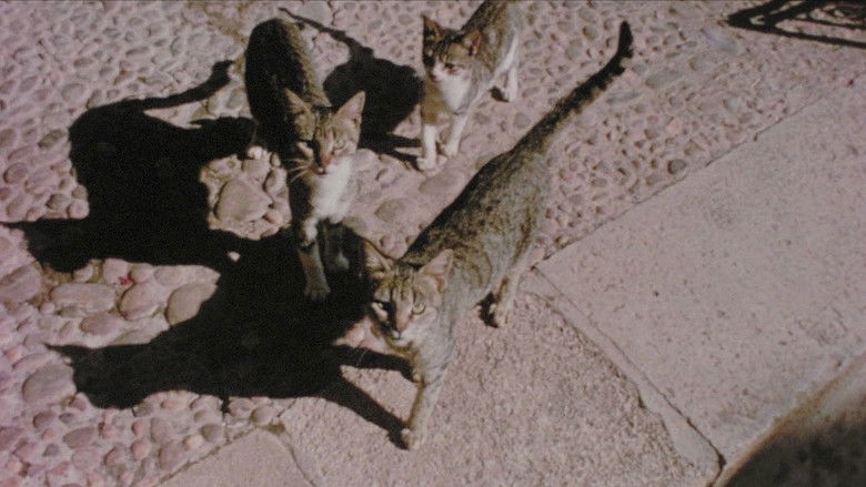 кадр из фильма Souvenirs souvenirs