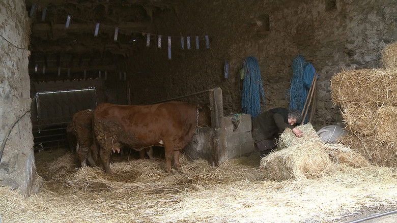 кадр из фильма Alfaião