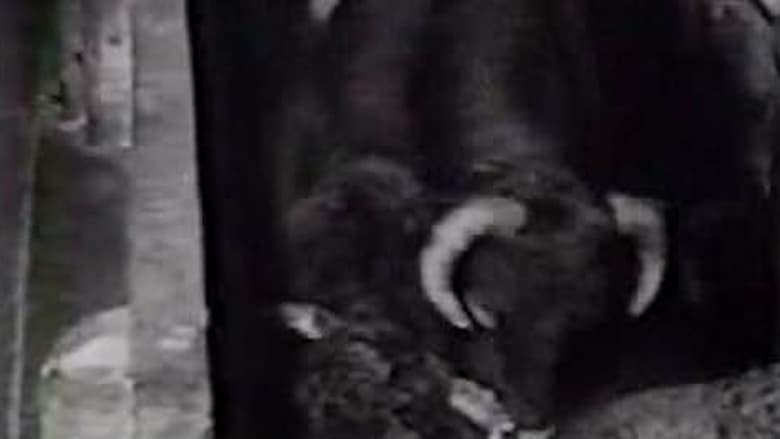 кадр из фильма El martillo: Crónica de un mito