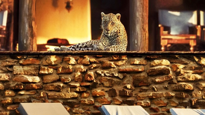 кадр из фильма Год, изменивший планету